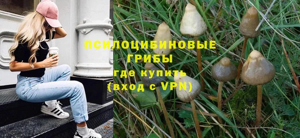 a pvp Богданович
