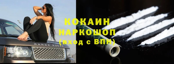 a pvp Богданович