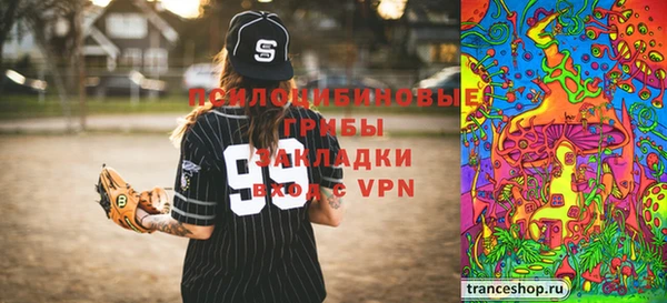 дмт Верея