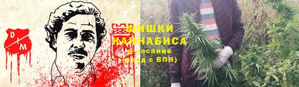ГАЛЛЮЦИНОГЕННЫЕ ГРИБЫ Богородск