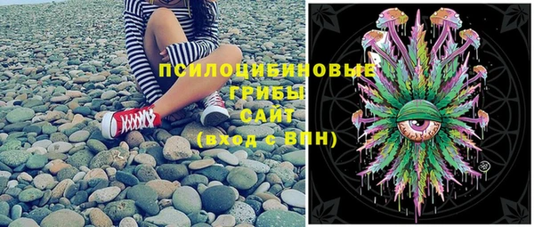 мдма Богородицк