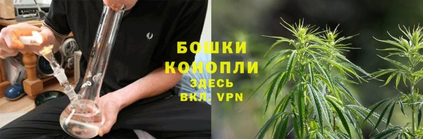 ГАЛЛЮЦИНОГЕННЫЕ ГРИБЫ Богородск