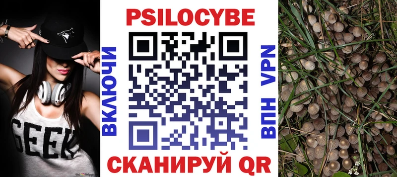 Псилоцибиновые грибы мухоморы  Купить закладки  Вуктыл 