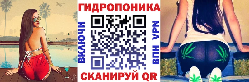 Купить закладки  Вуктыл  Бошки Шишки Amnesia 